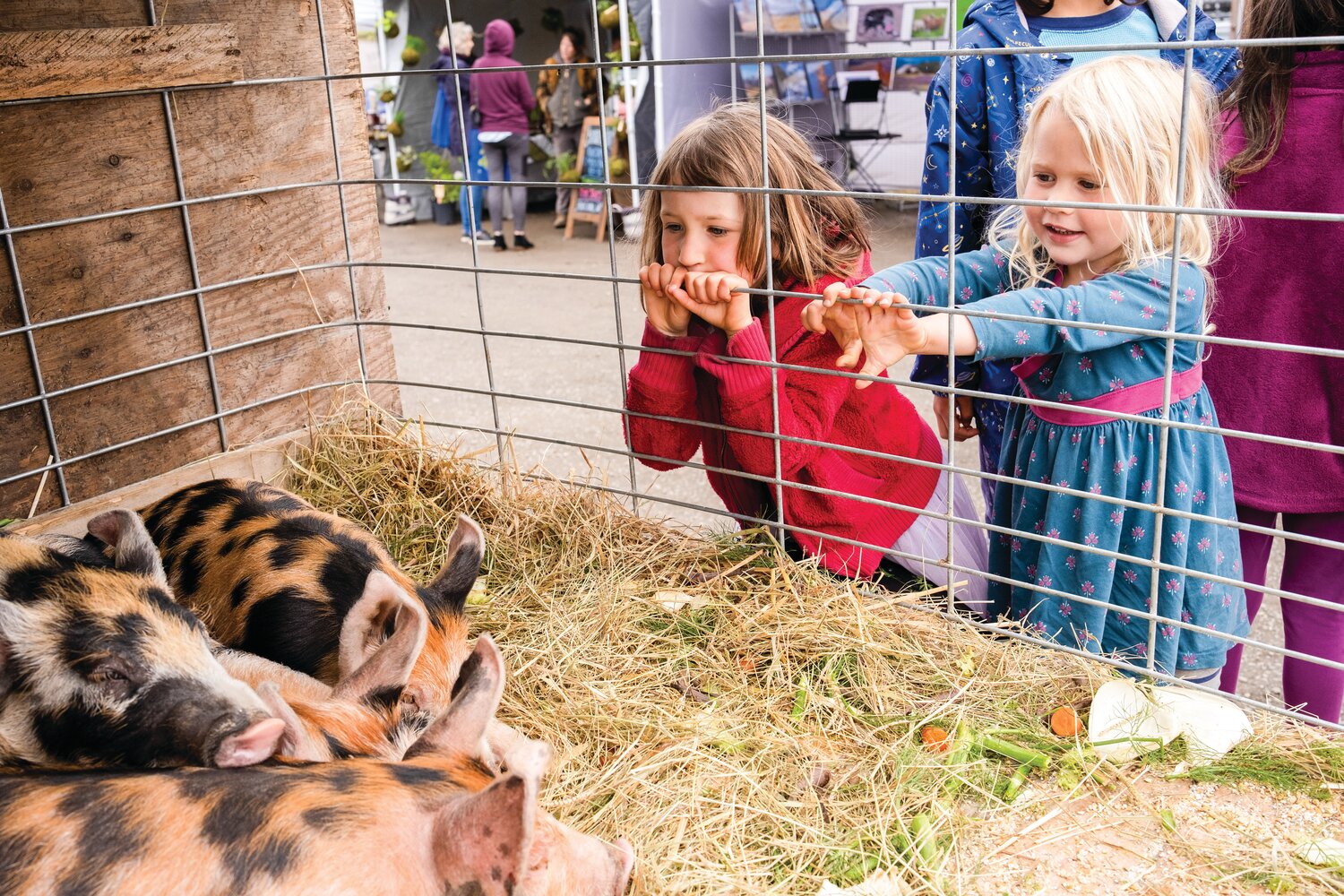 Chimacum Farmers Market opening day includes kid-friendly activities.